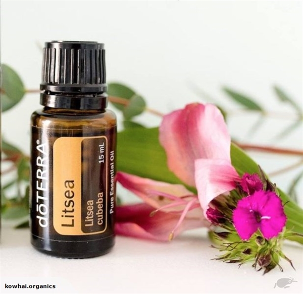 Dōterra Litsea Essential Oil 15ml Salon Apothecary 7138